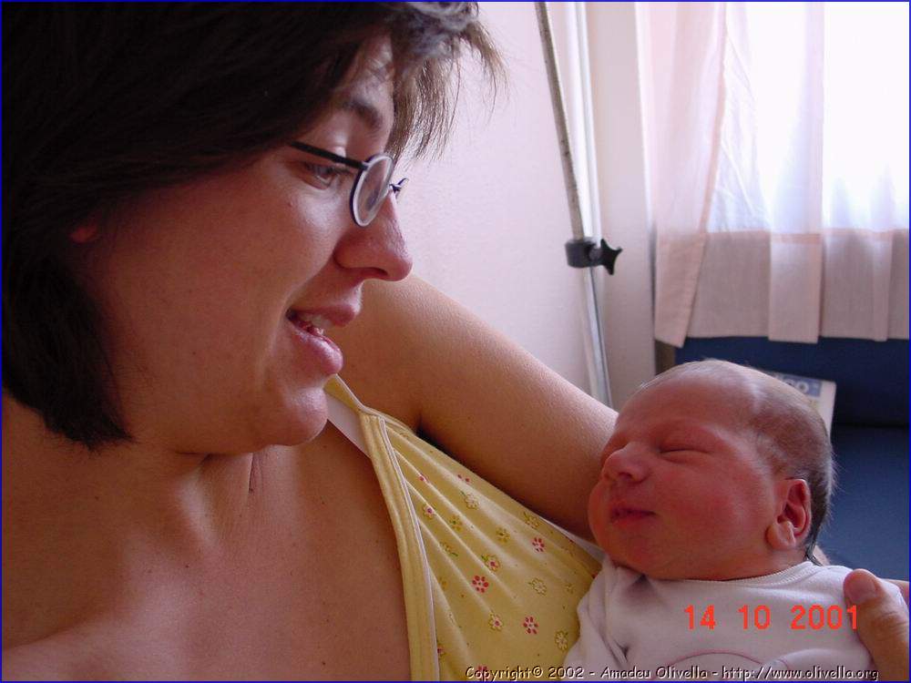 Janpetit_007.jpg