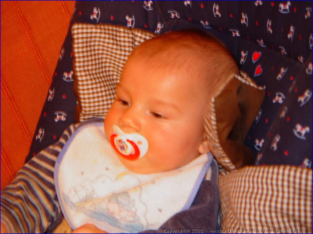 Janpetit_022.jpg
