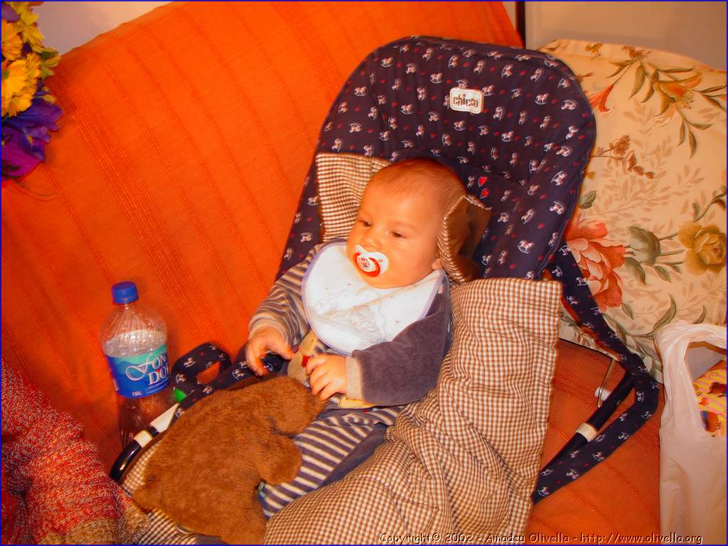 Janpetit_023.jpg