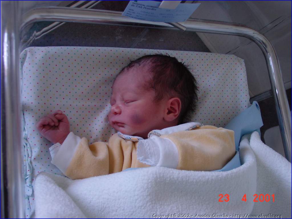 Marcel_003.jpg