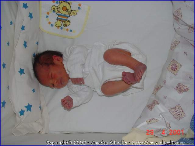 Marcel_007.jpg