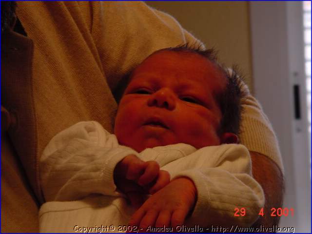 Marcel_009.jpg