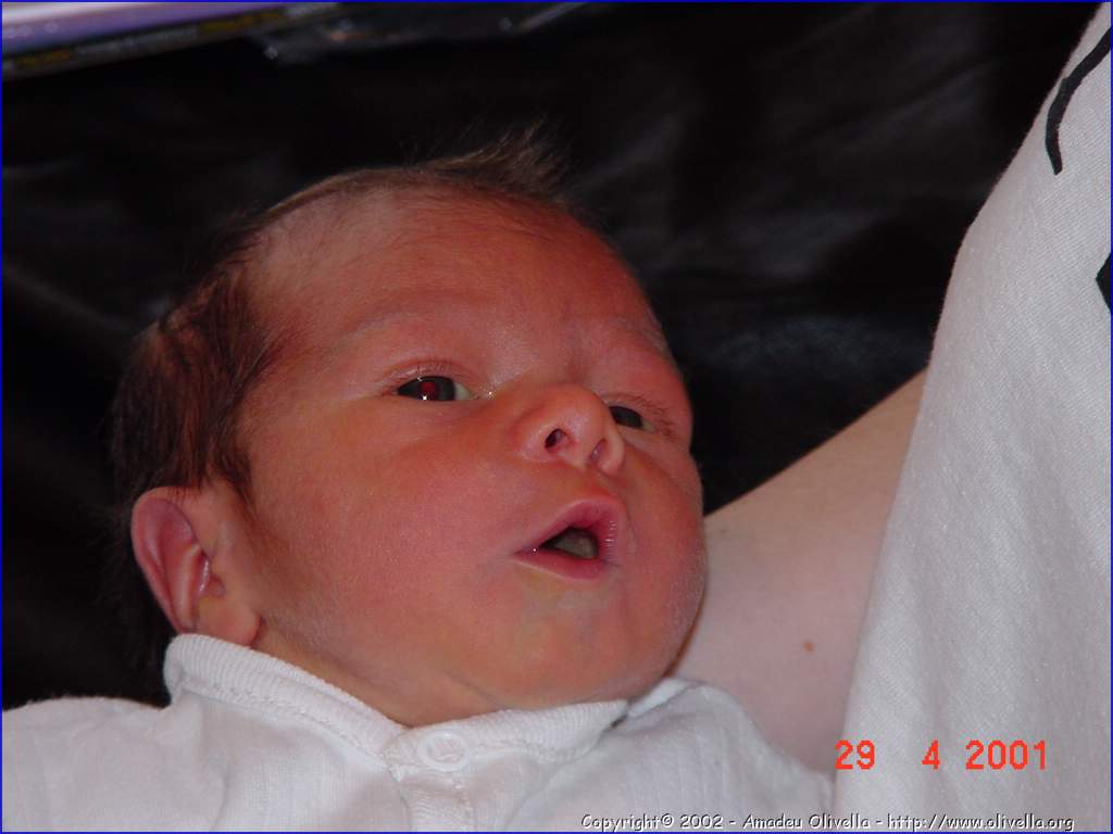 Marcel_019.jpg