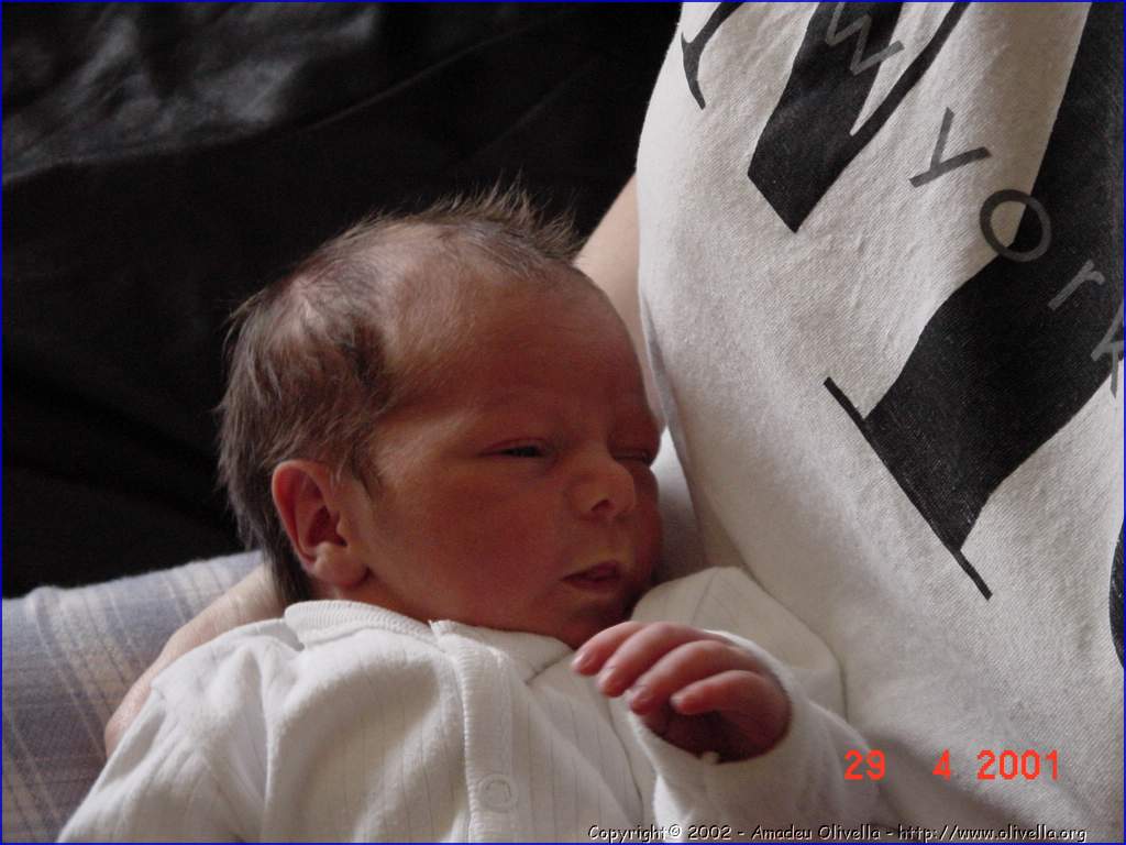 Marcel_026.jpg