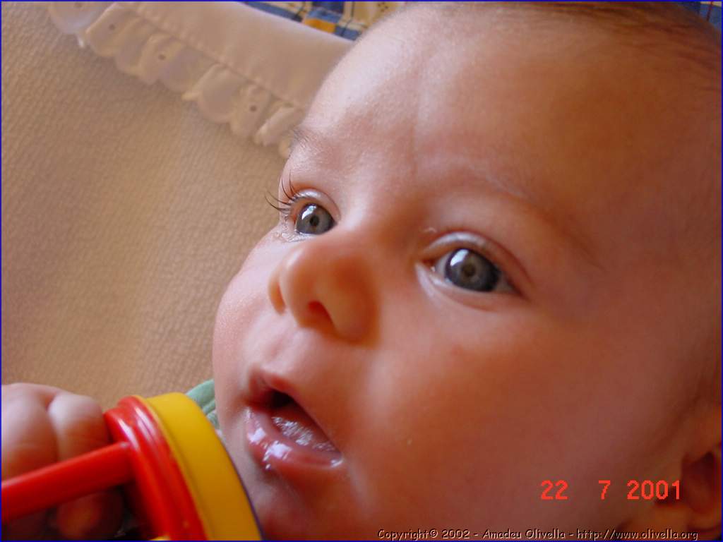 Marcel_050.jpg