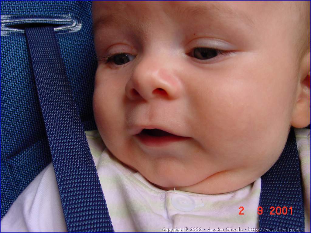 Marcel_076.jpg