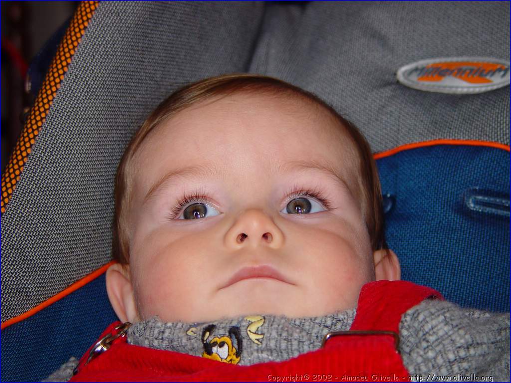 Marcel_083.jpg