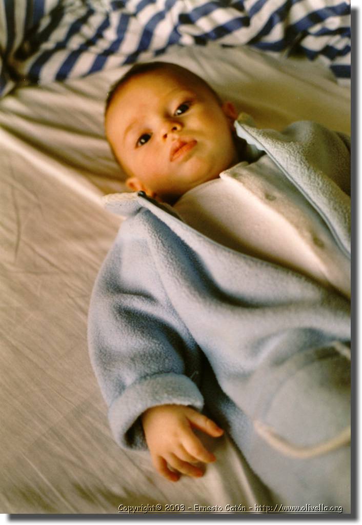 055_oscar1.jpg
