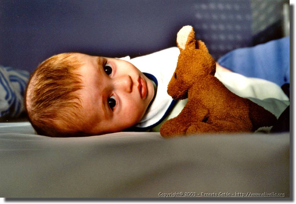 068_conpeluche.jpg