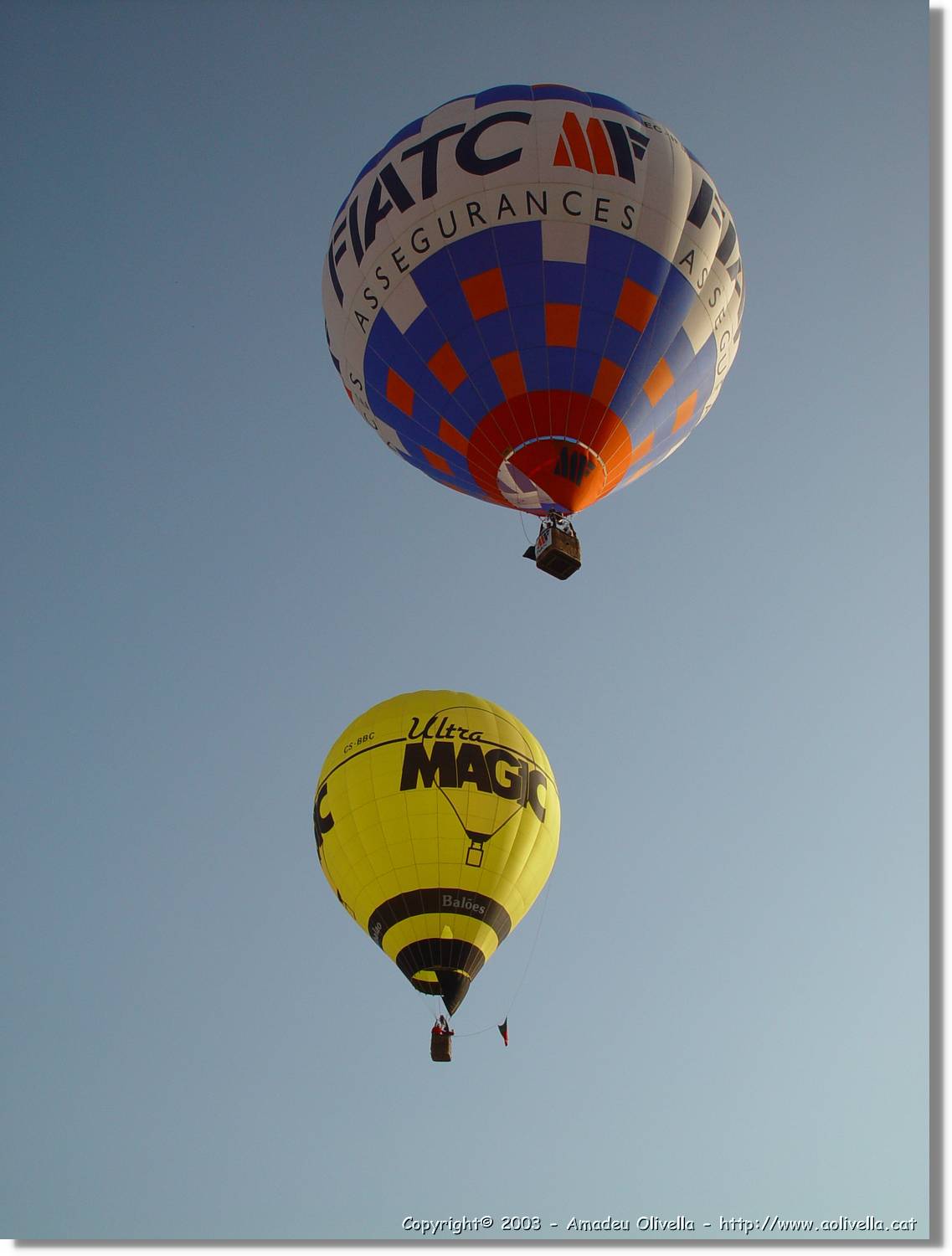 Balloon_110.jpg