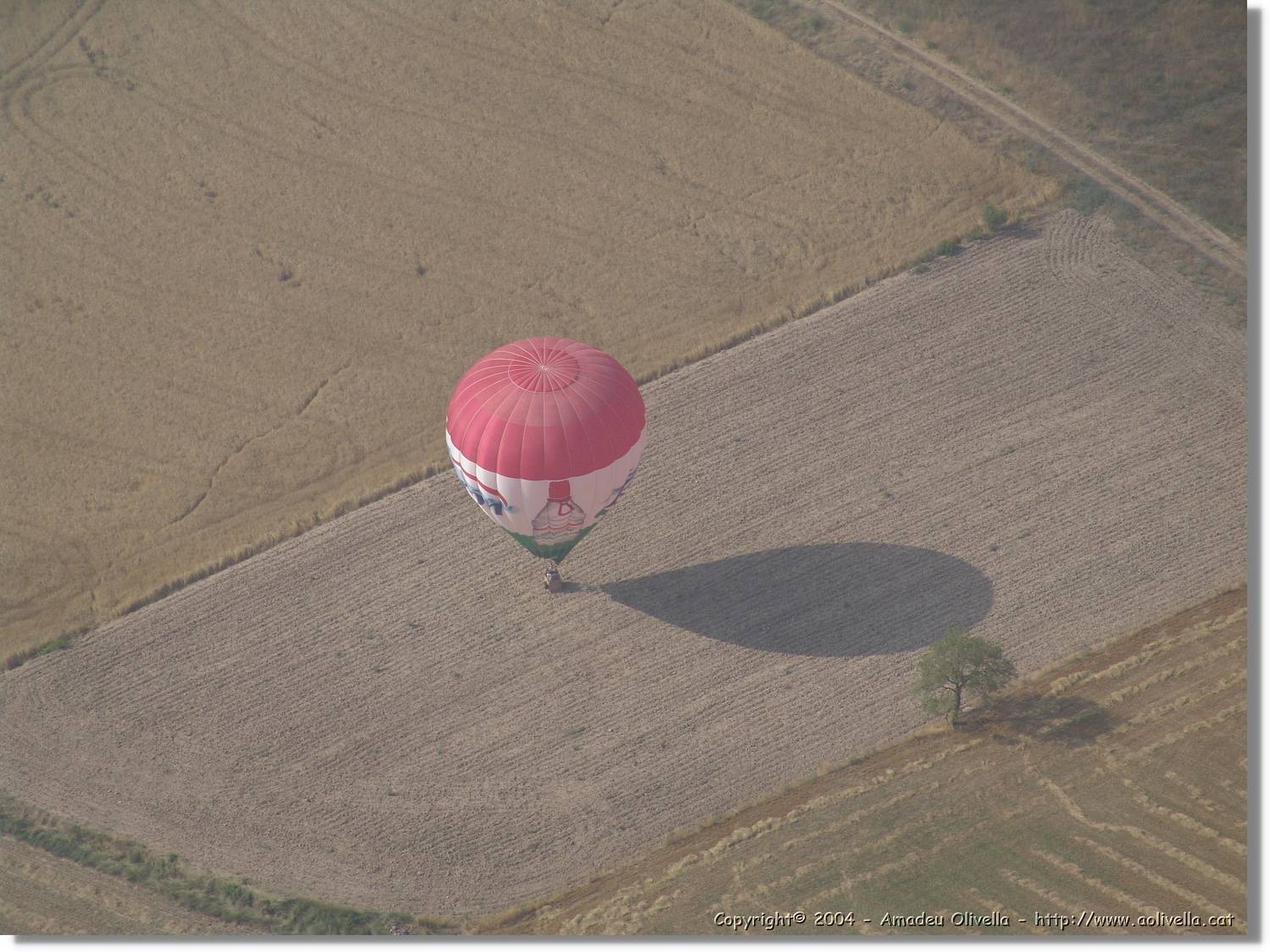 Balloon_125.jpg