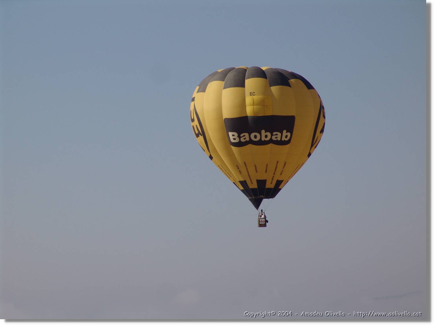 Balloon_131.jpg