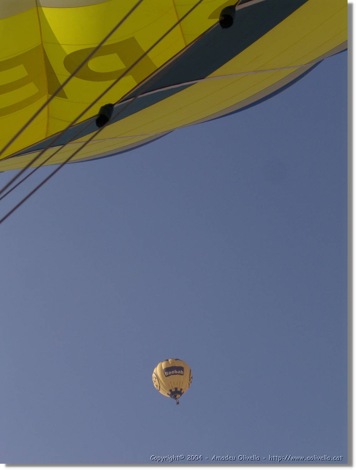 Balloon_137.jpg