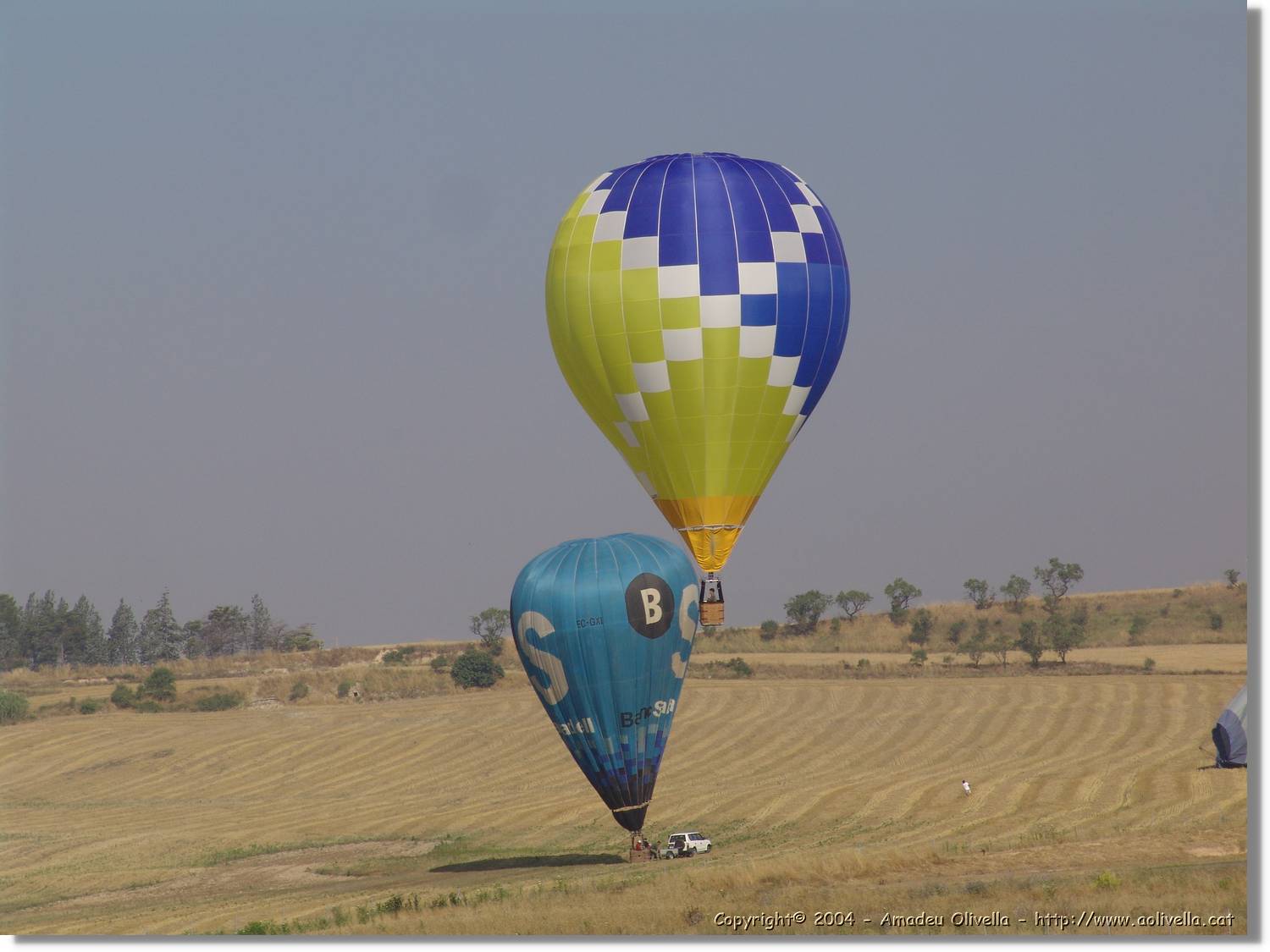 Balloon_176.jpg