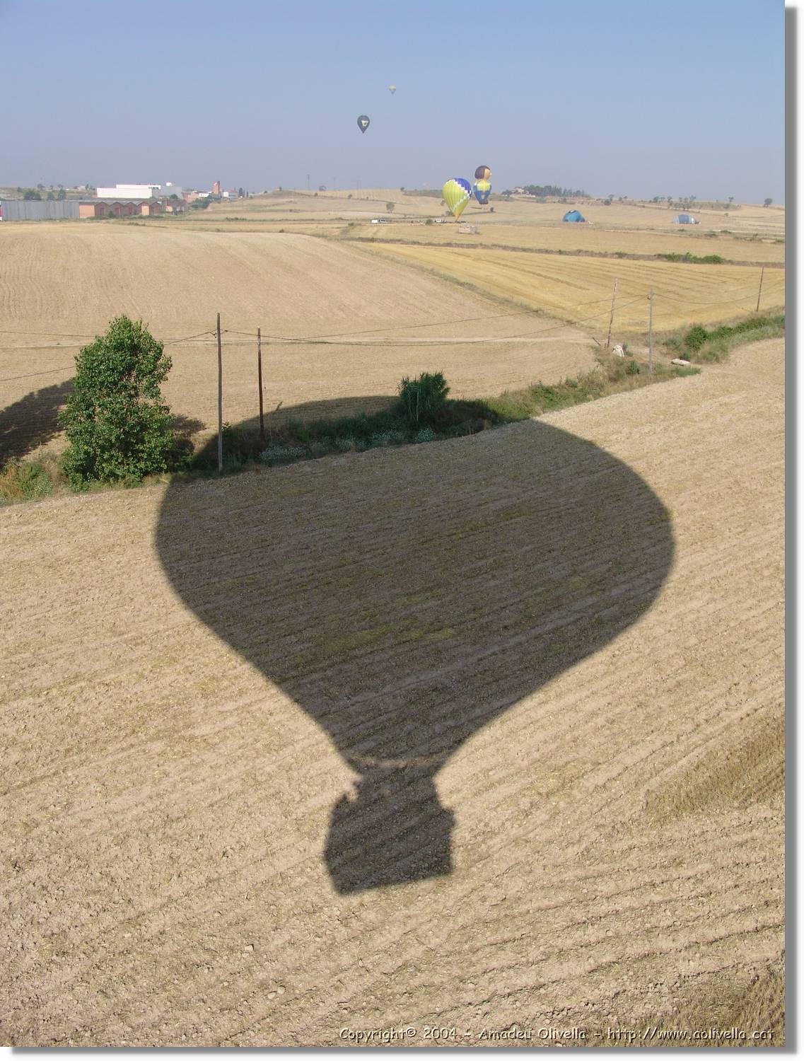 Balloon_189.jpg