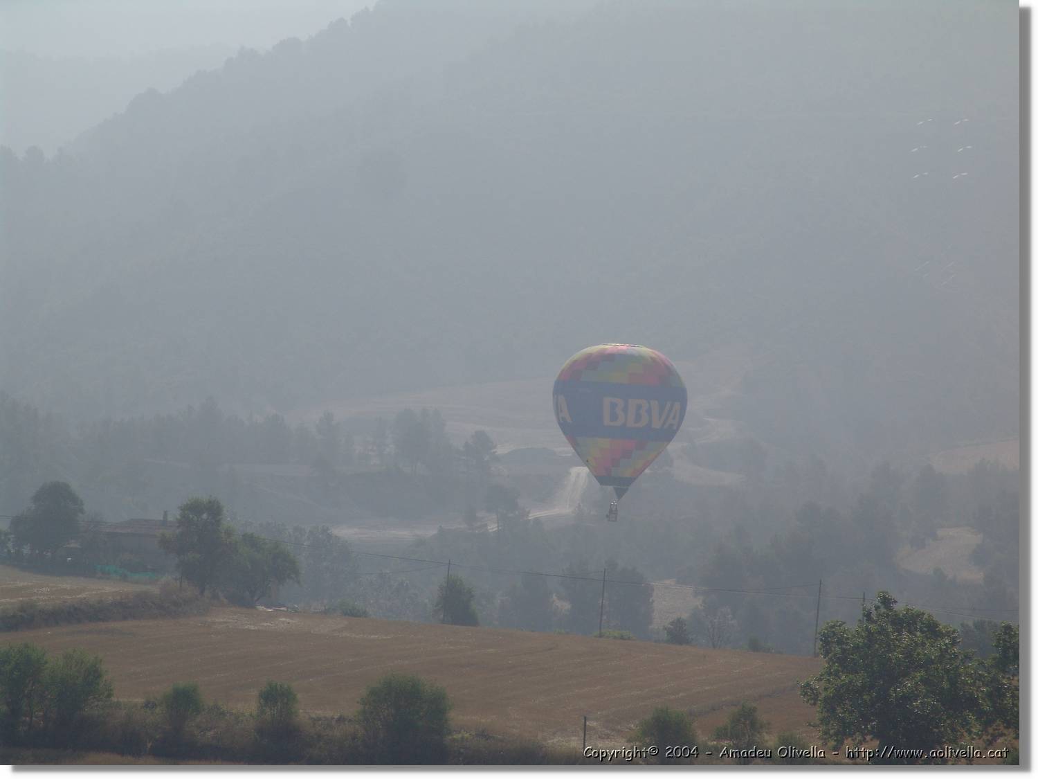 Balloon_194.jpg