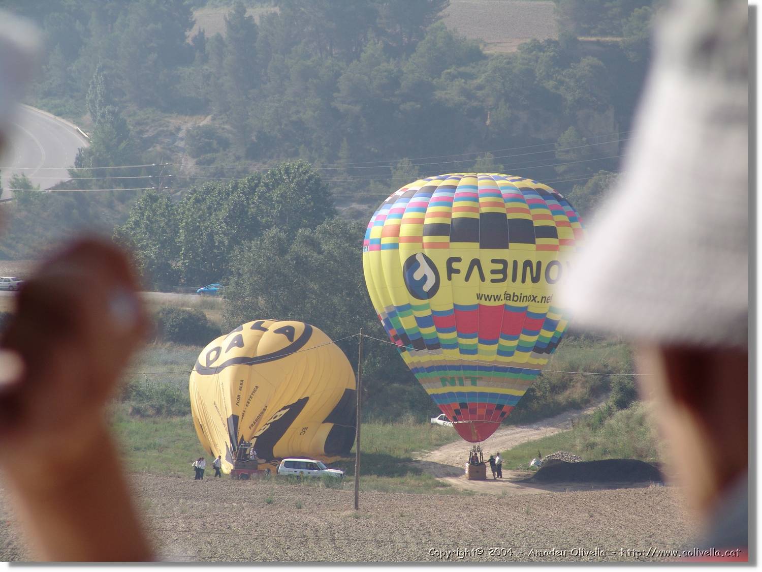 Balloon_195.jpg