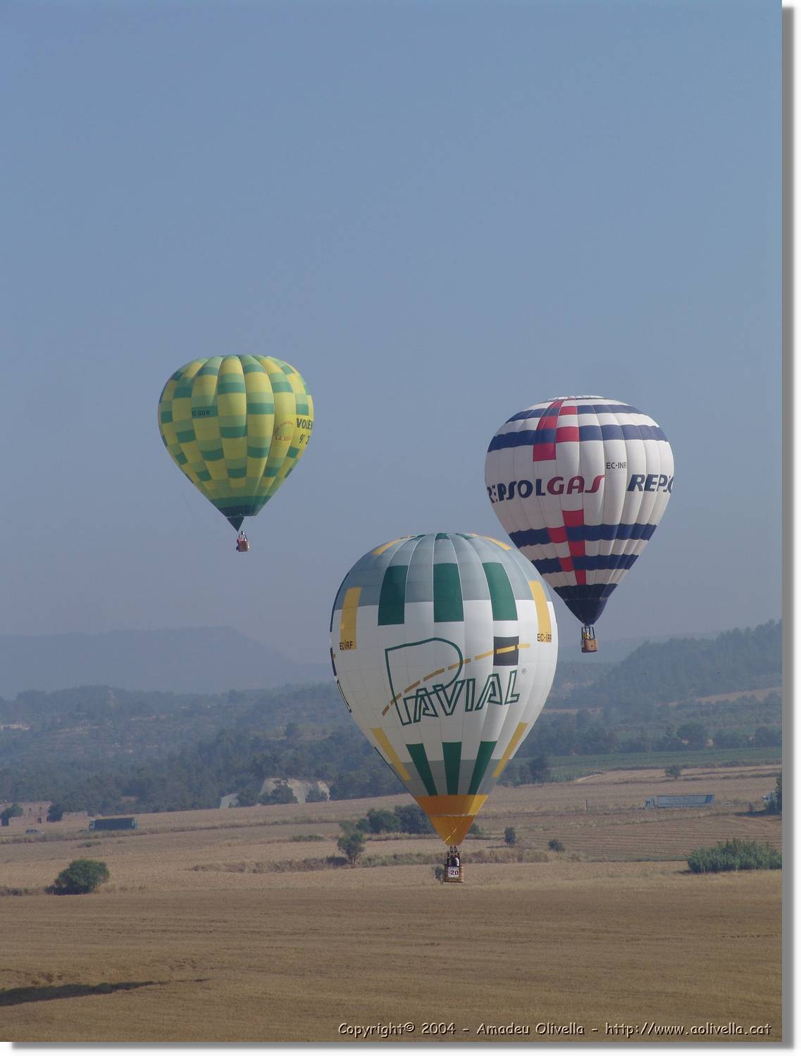 Balloon_197.jpg