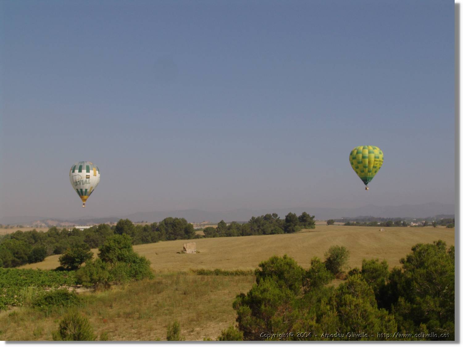 Balloon_207.jpg