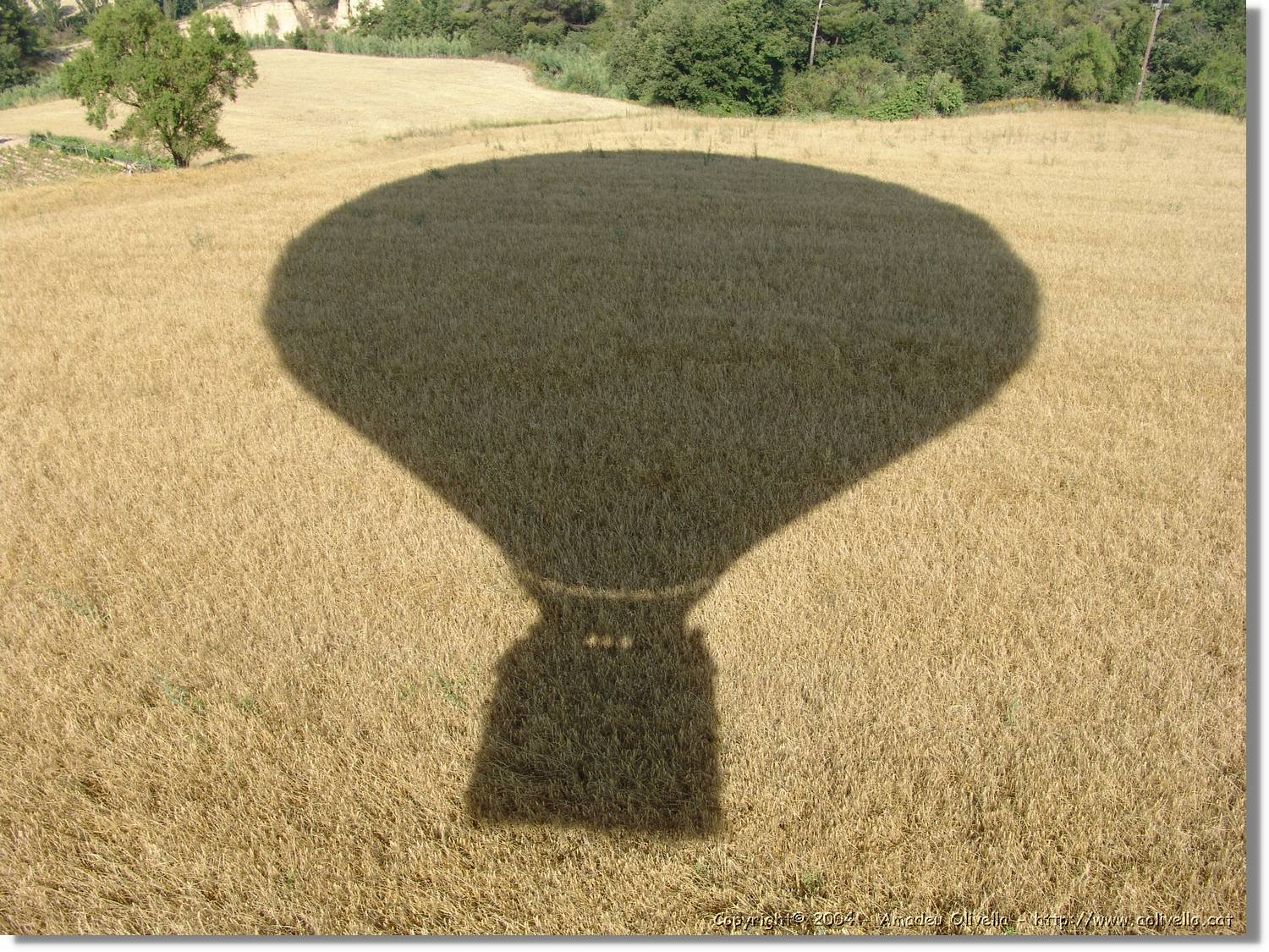 Balloon_213.jpg