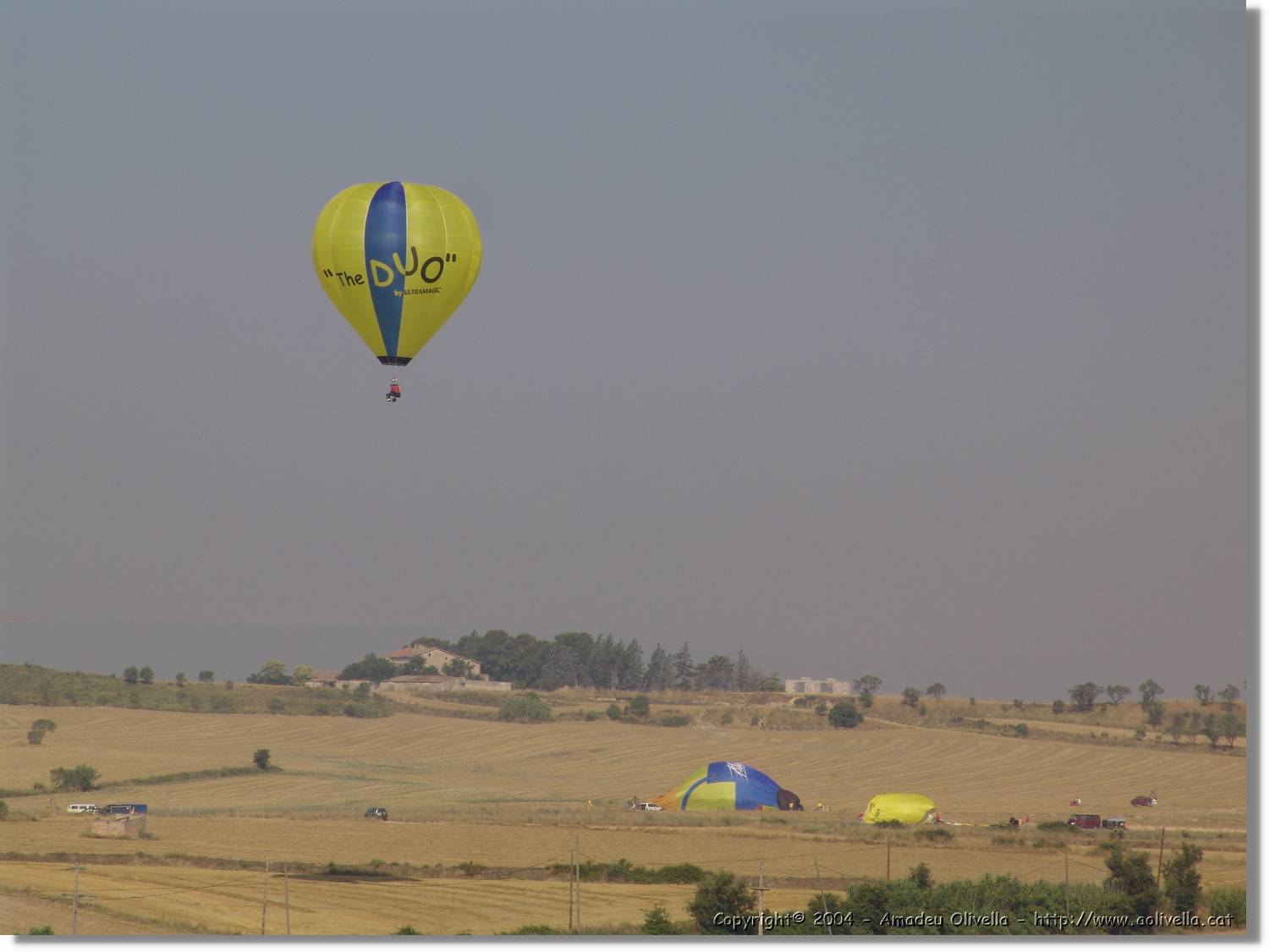 Balloon_216.jpg