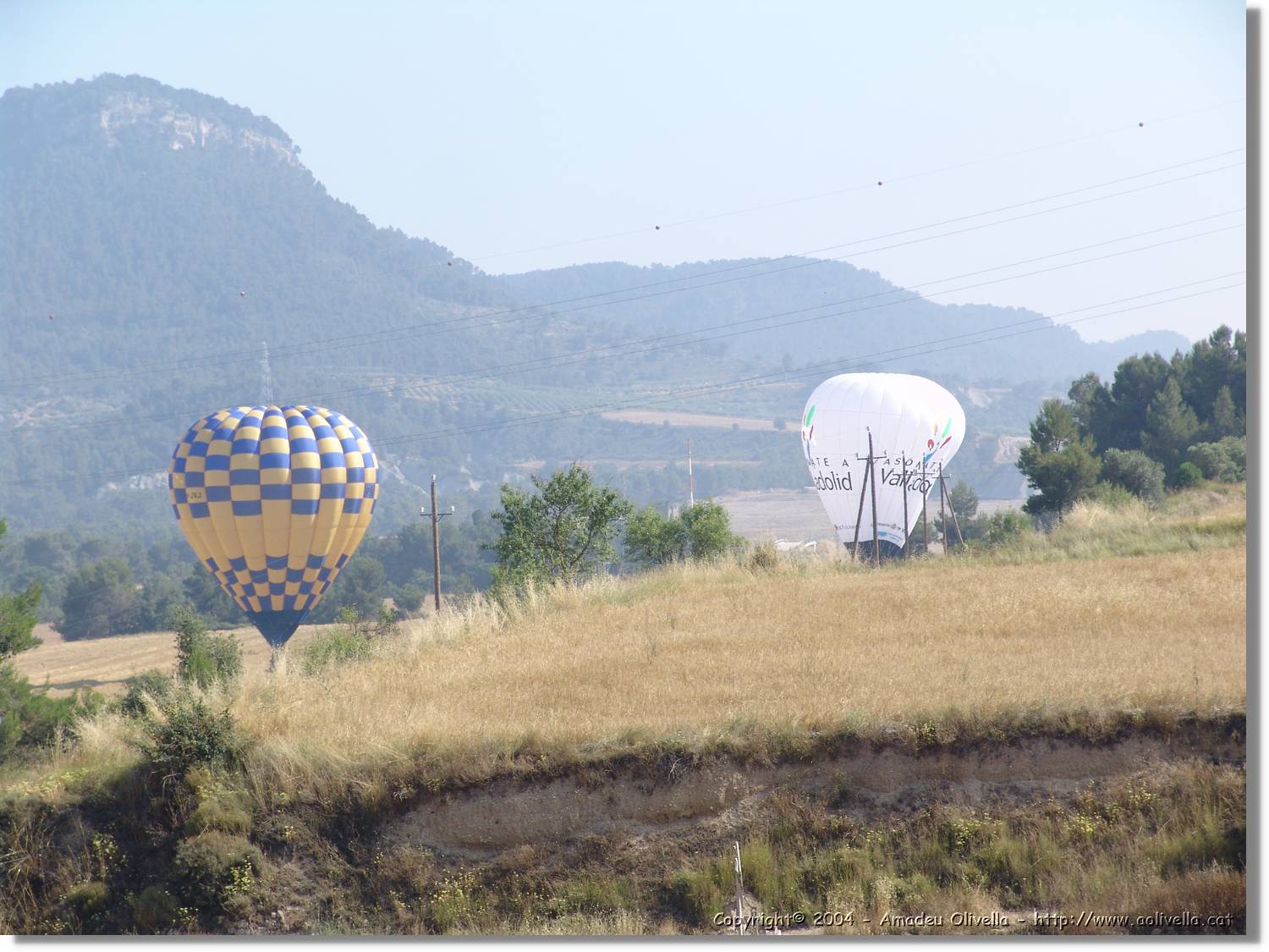 Balloon_218.jpg