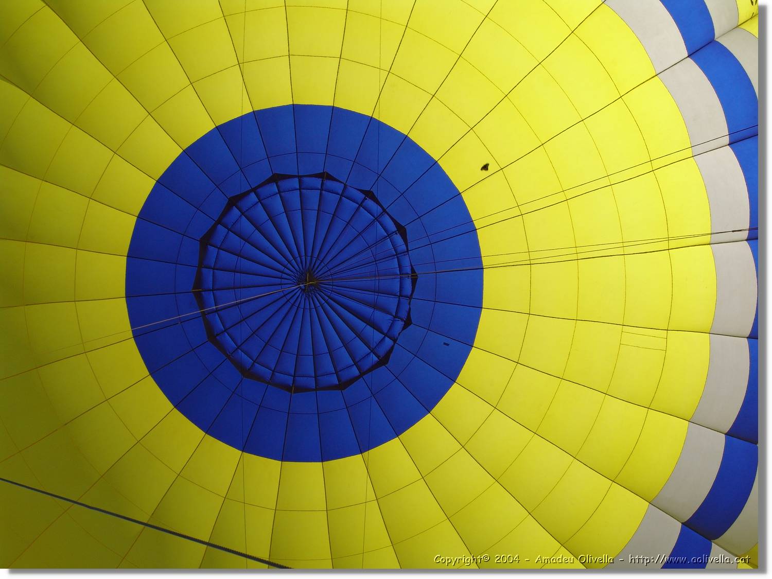 Balloon_220.jpg