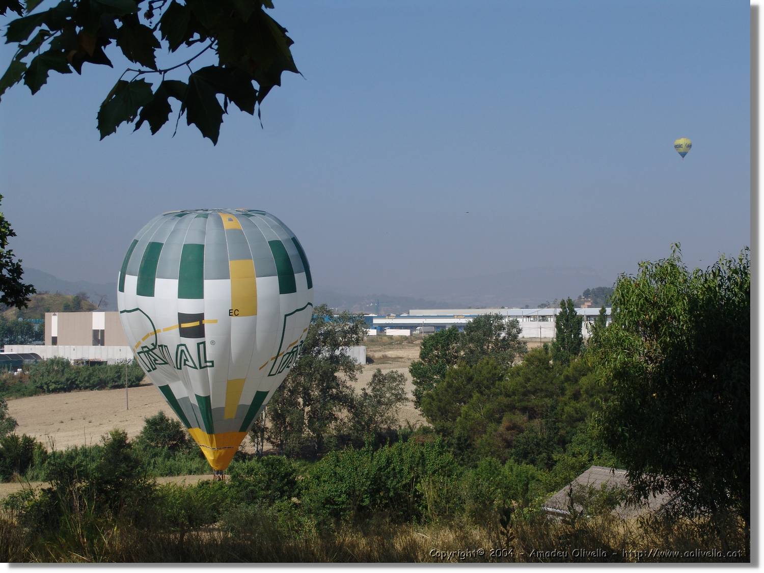 Balloon_230.jpg