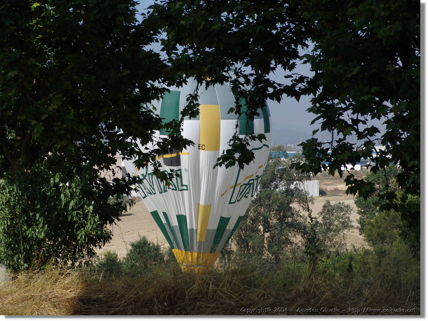Balloon_234.jpg