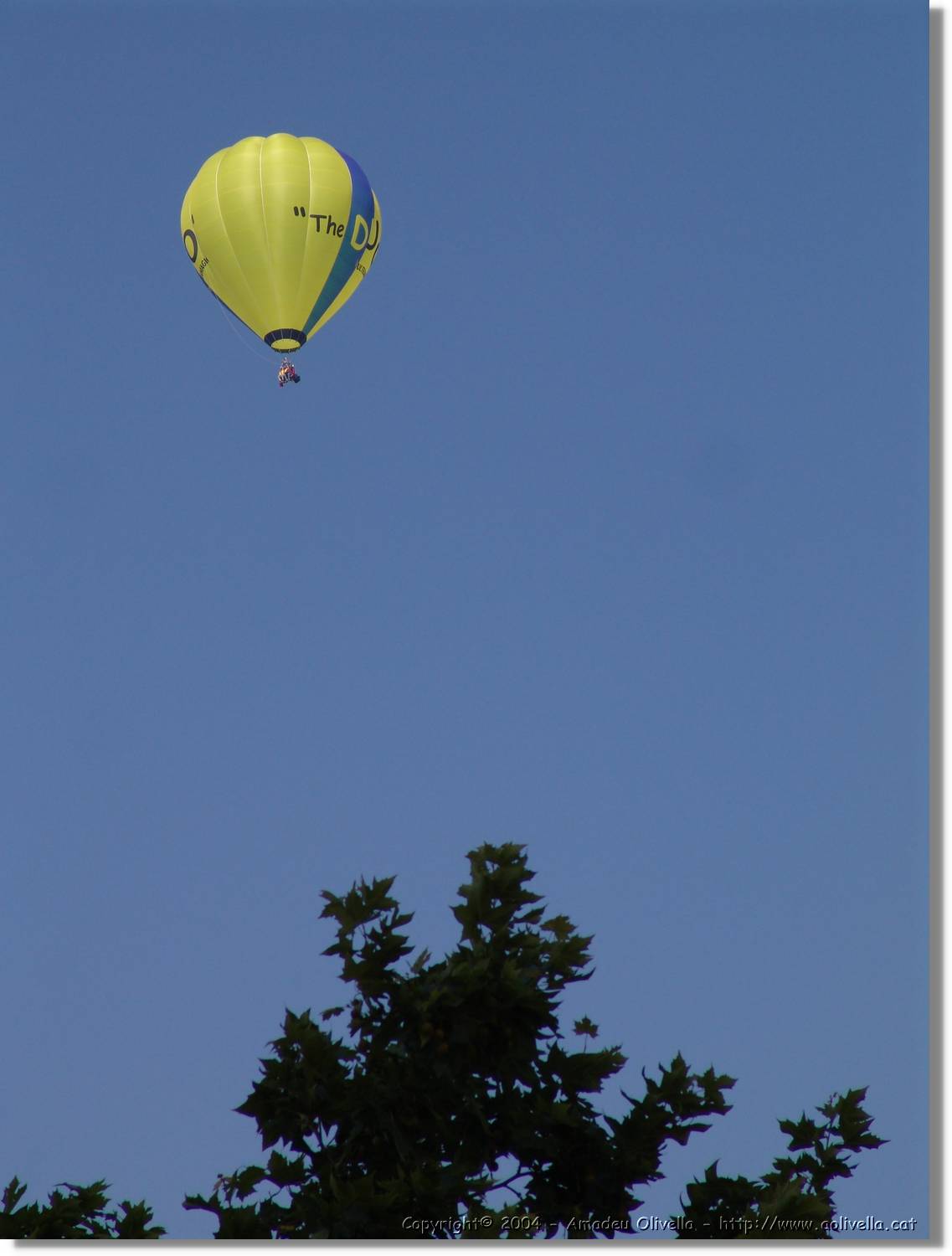 Balloon_235.jpg