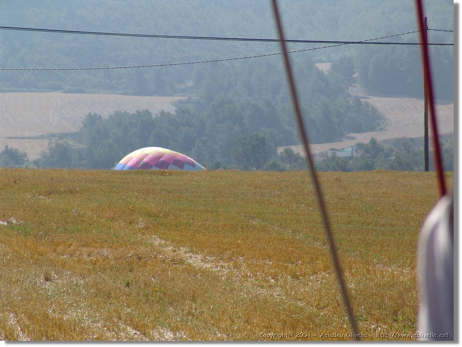 Balloon_236.jpg