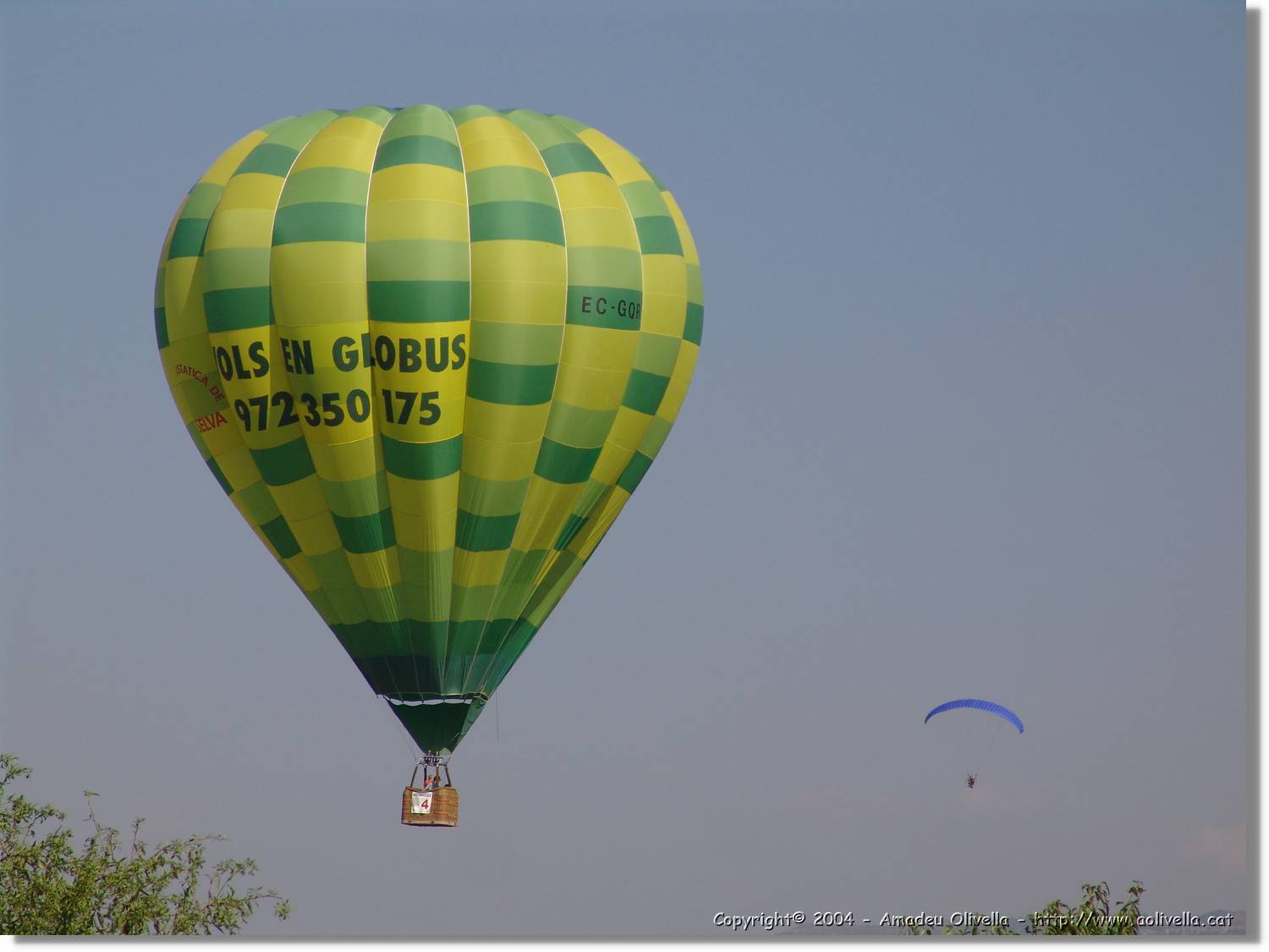 Balloon_246.jpg