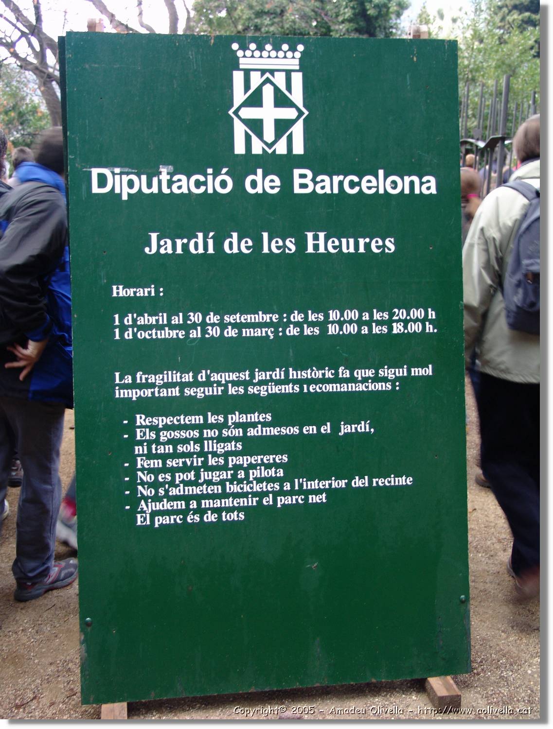 Barna_013.jpg