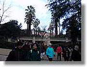 Barnatresc_021.jpg(147 KB)