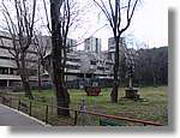 Barnatresc_022.jpg(171 KB)