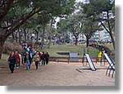 Barnatresc_025.jpg(170 KB)