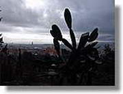 Barnatresc_038.jpg(60,5 KB)