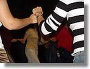 CAL_094.jpg CAL_094.jpg