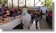 Cavall-Bernat_134.jpg