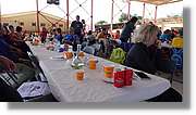 Cavall-Bernat_138.jpg