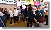 Cavall-Bernat_186.jpg