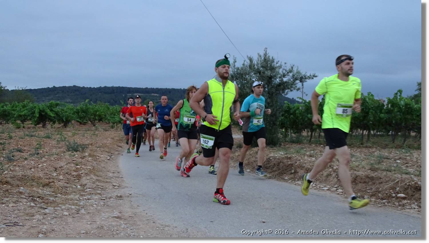 Cursa_060.jpg