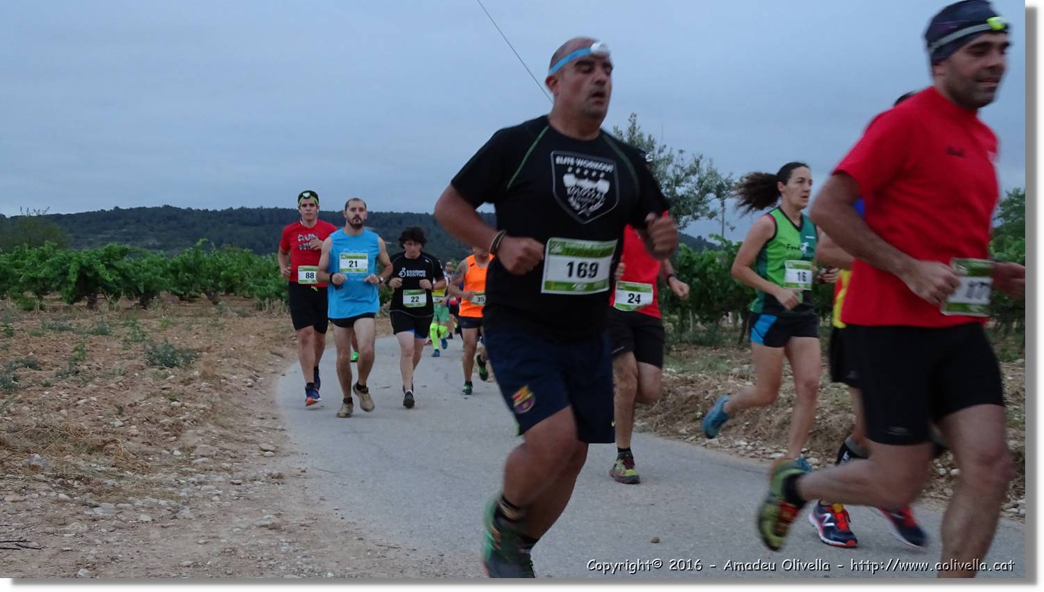 Cursa_064.jpg