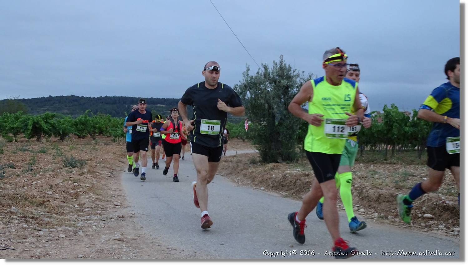 Cursa_068.jpg