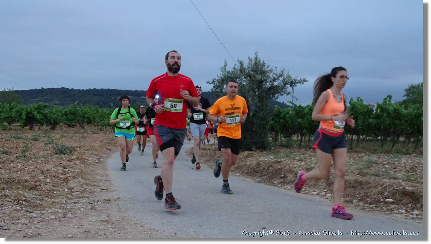 Cursa_080.jpg