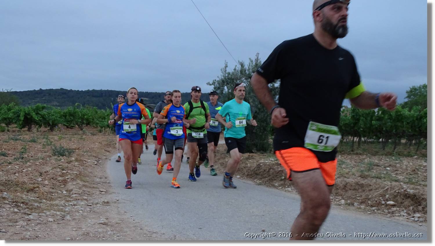Cursa_084.jpg