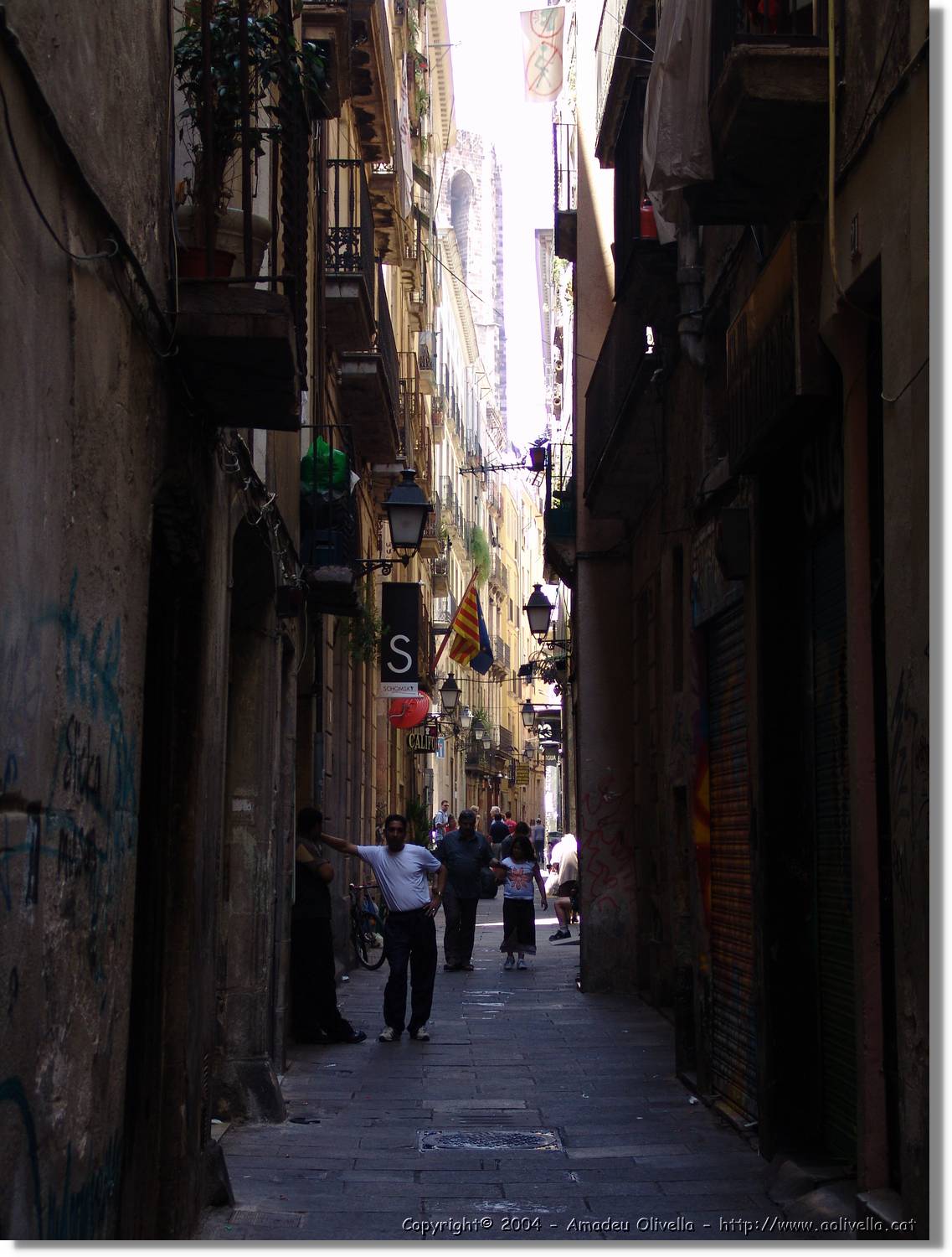 DFoto_129.jpg