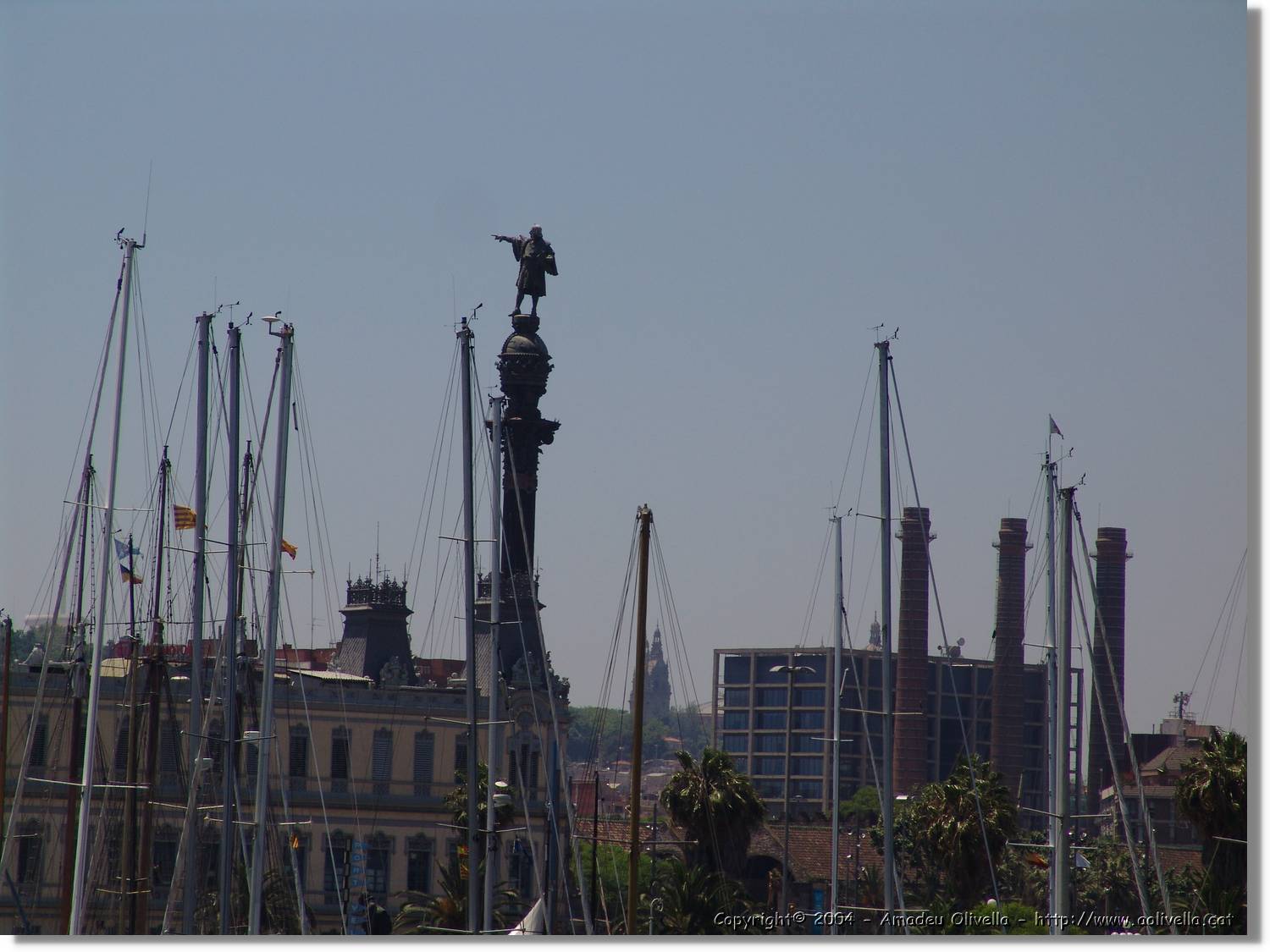 DFoto_141.jpg