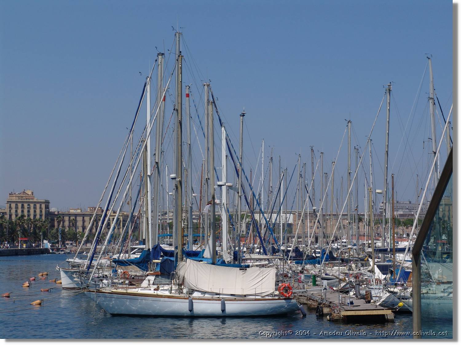DFoto_142.jpg