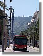 DFoto_135.jpg
